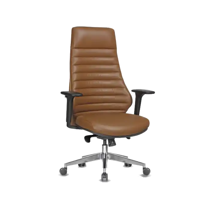 CANVAS YÖNETİCİ ÇİZGİLİ SENKRON
