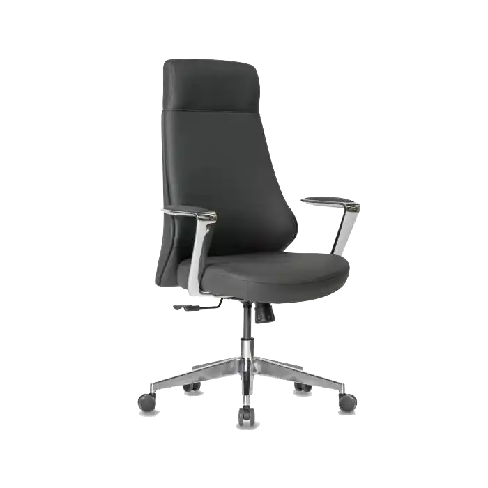 CANVAS YÖNETİCİ MULTİ TİLT MEKANİZMA