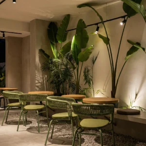 Scaun de cafenea de exterior cu brațe împletite în frânghie – model verde modern görsel 4