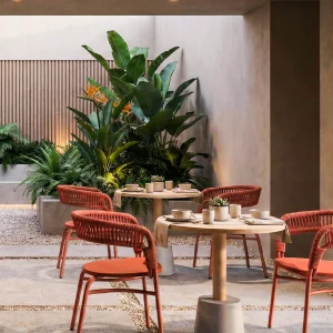 Scaun de cafenea de exterior cu brațe împletite în frânghie – model verde modern görsel 5