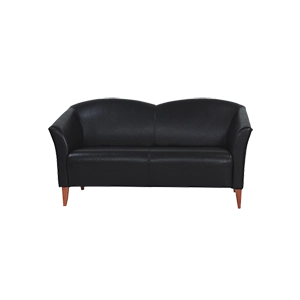 GLOBBE DOUBLE LEATHER OFFICE SOFAS
