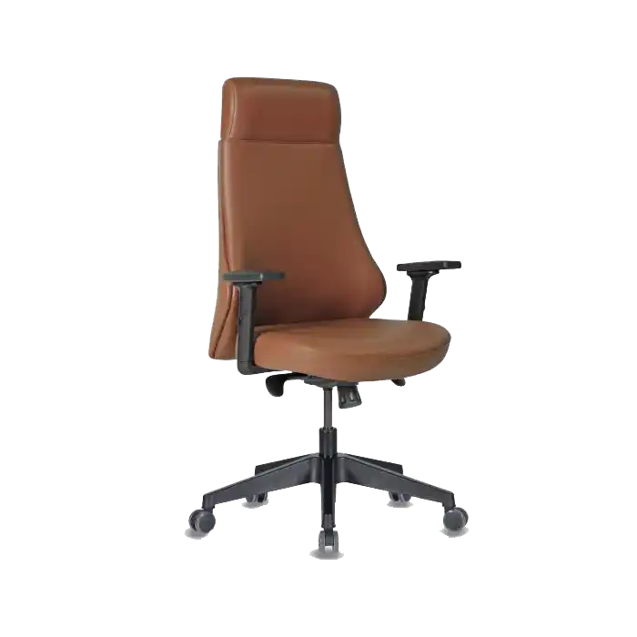 CANVAS DERİ YÖNETİCİ SENKRON MEKANİZMA